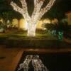 Piedmonte, CA Christmas Lights